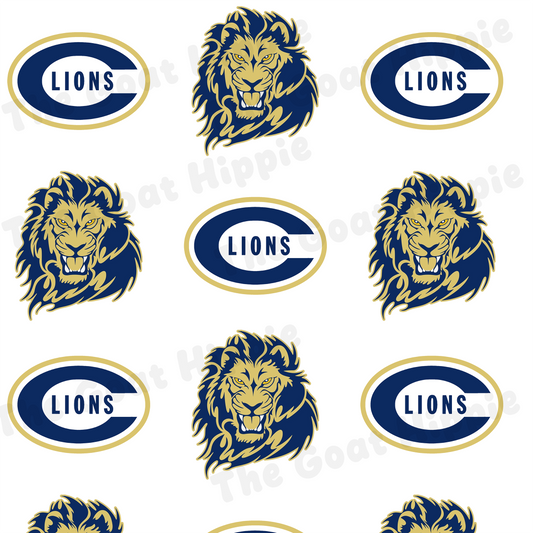 CHS Wrapping Paper 24"x72"