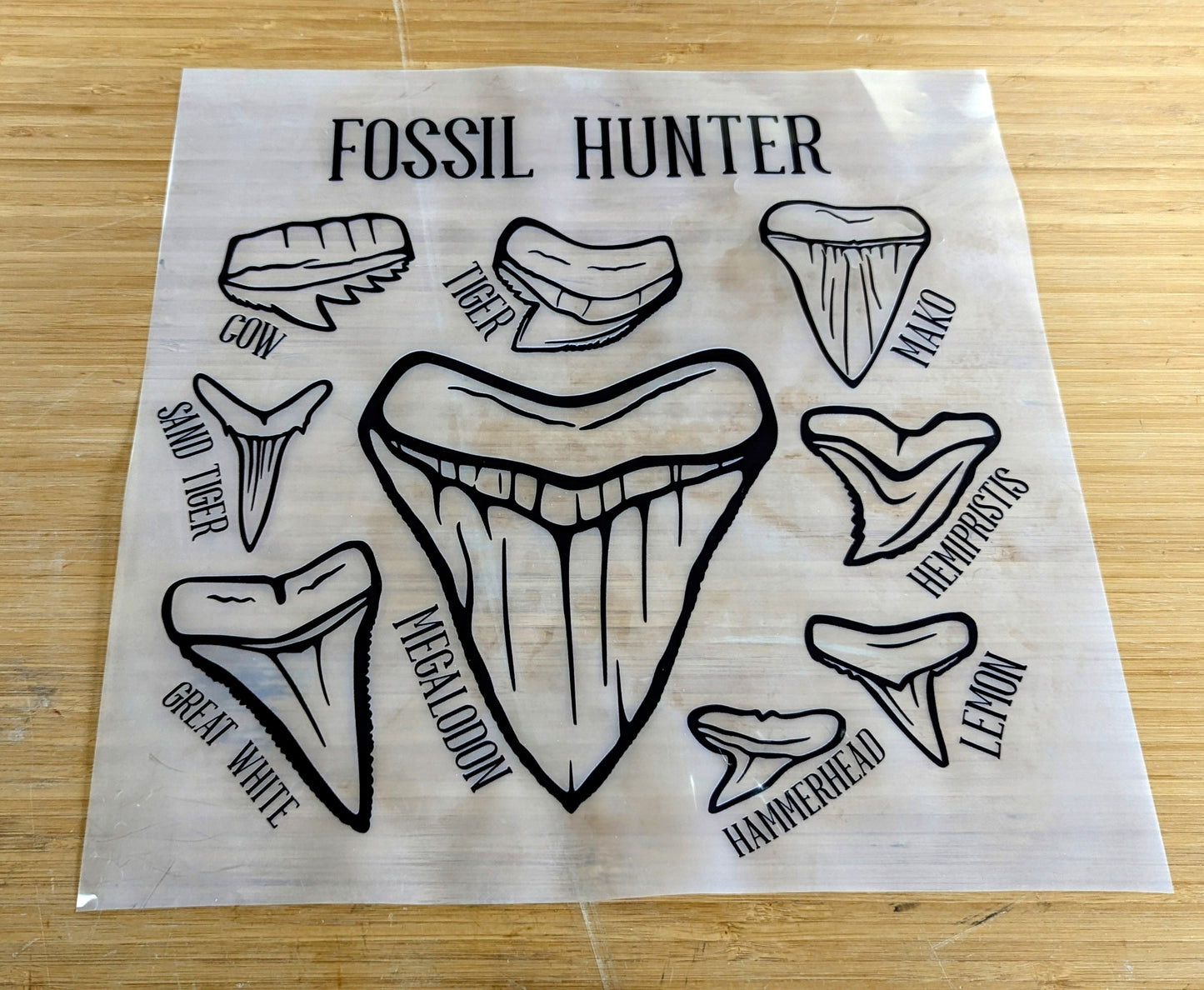 Fossil Hunter