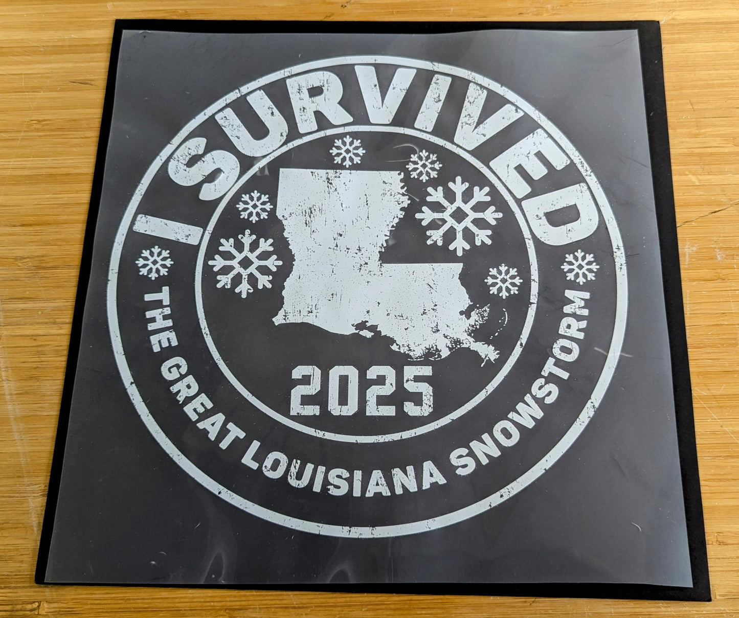 I Survived - Louisiana Snow Storm 2025