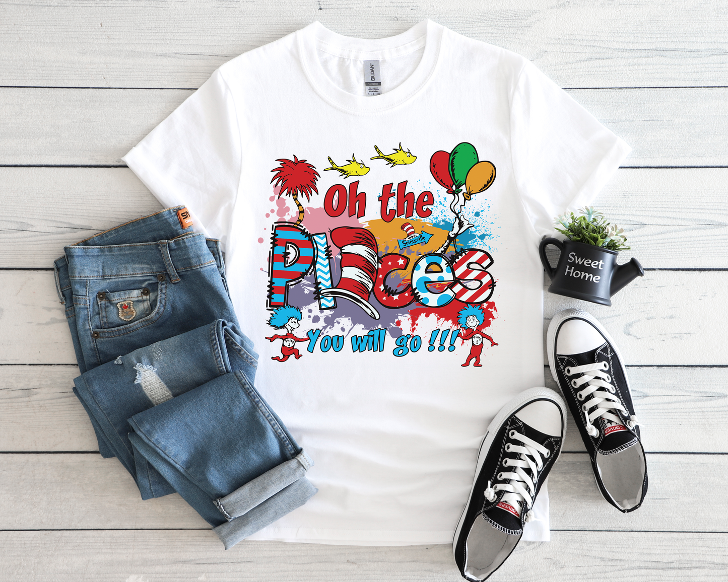 Dr. Seuss The Places You will Go