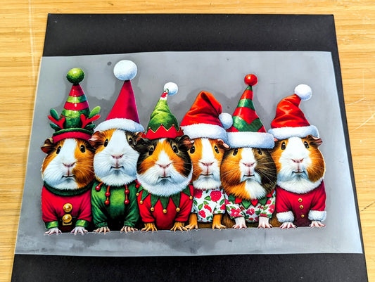 Guinea Pig Christmas